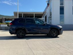 
										2019 Toyota RAV4 full									