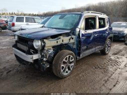 
										JEEP RENEGADE full									