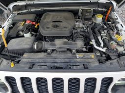 
										2021 Jeep Wrangler full									