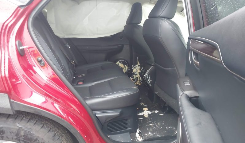 
								2016 Lexus NX, 200T full									