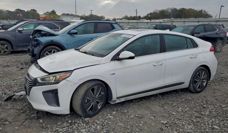 
								2017 Hyundai Ioniq full									