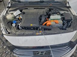 
										2017 Hyundai Ioniq full									