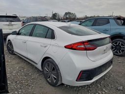 
										2017 Hyundai Ioniq full									