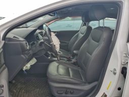 
										2017 Hyundai Ioniq full									