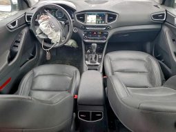 
										2017 Hyundai Ioniq full									