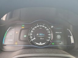 
										2017 Hyundai Ioniq full									