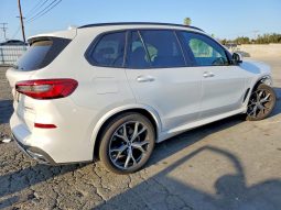 
										2019 BMW X5 full									