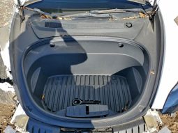 
										2022 Tesla MODEL 3 full									