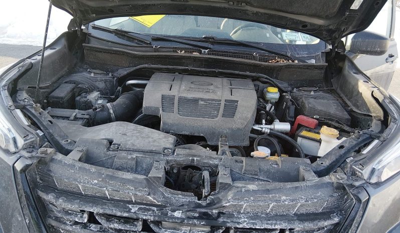 
								2023 Subaru Forester full									