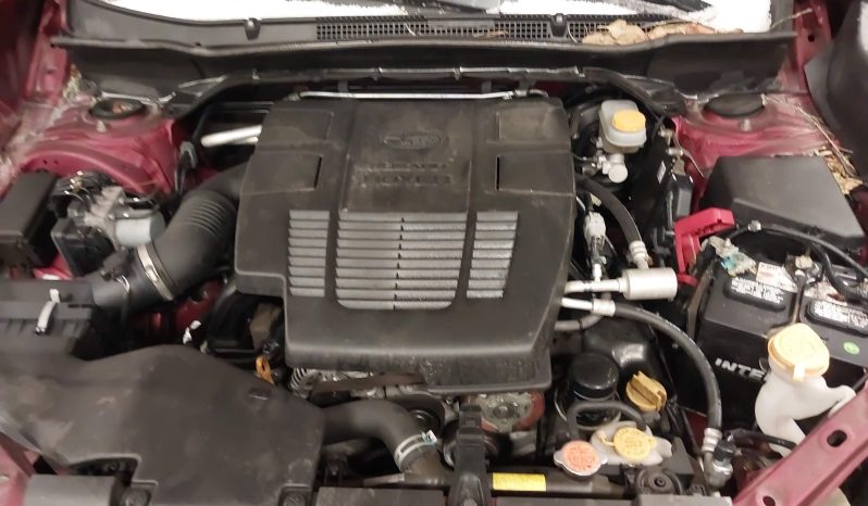 
								Subaru Forester full									