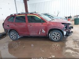 
										Subaru Forester full									