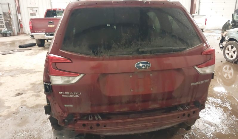 
								Subaru Forester full									