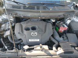 
										2019 Mazda CX-9 full									