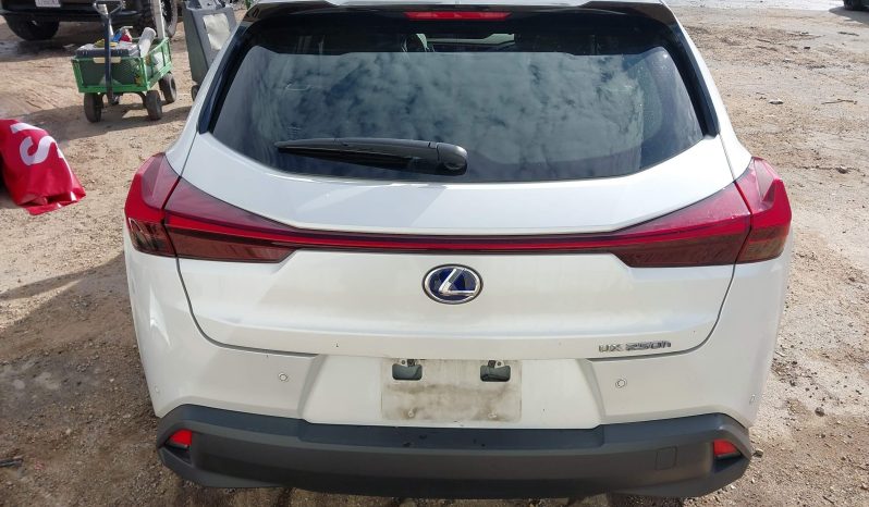 
								Lexus UX 250h full									