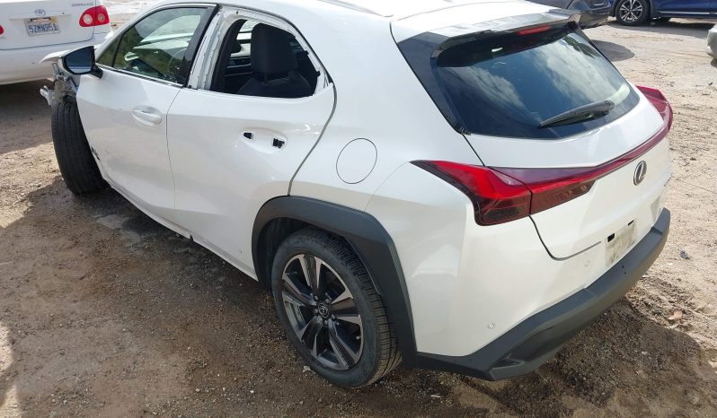 
								Lexus UX 250h full									