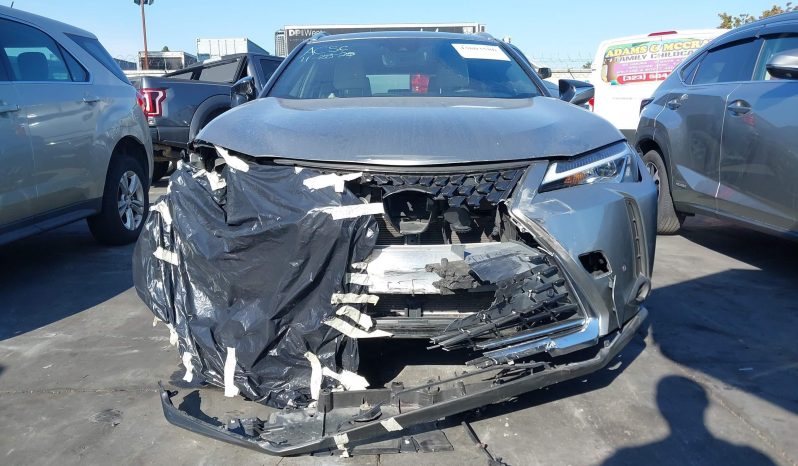 
								Lexus UX 250h full									
