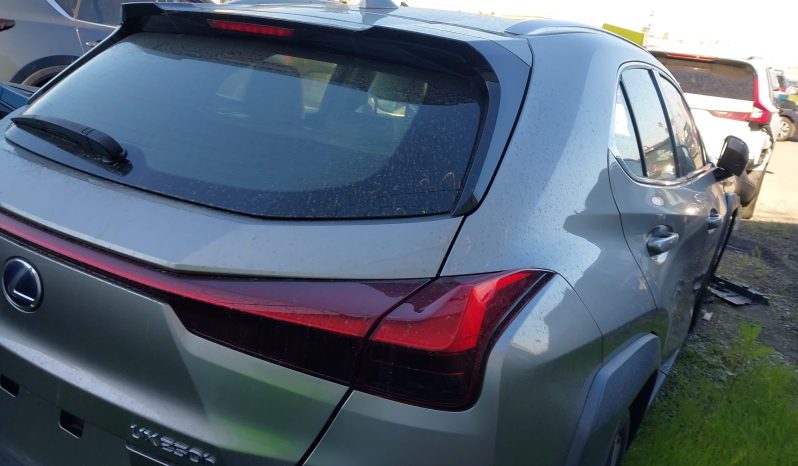 
								Lexus UX 250h full									