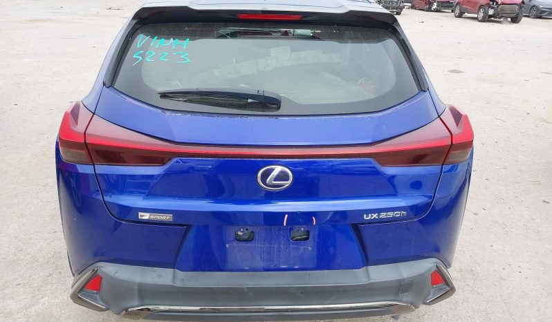 
								2019 Lexus UX 250H full									