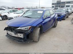 
										2019 Lexus UX 250H full									