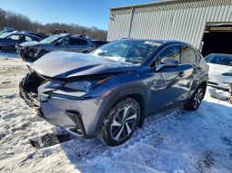 
										Lexus NX 300 full									