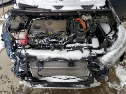 
										2020 Toyota RAV4 full									