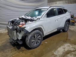 
										Hyundai Tucson Hybrid full									