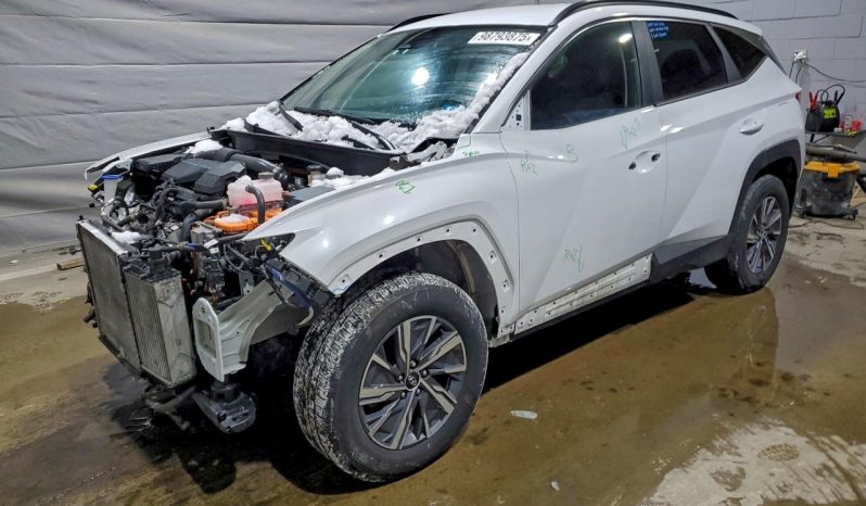 
								Hyundai Tucson Hybrid full									