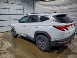 
										Hyundai Tucson Hybrid full									