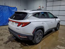 
										Hyundai Tucson Hybrid full									