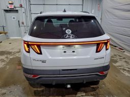 
										Hyundai Tucson Hybrid full									