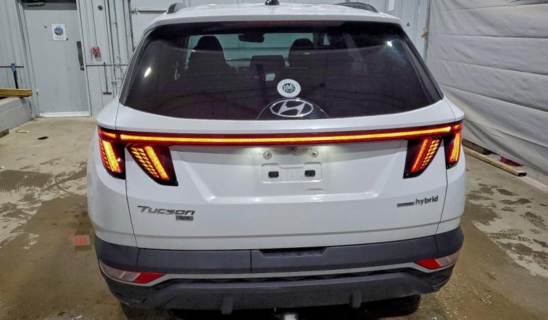 
								Hyundai Tucson Hybrid full									