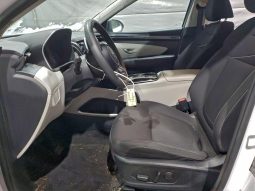 
										Hyundai Tucson Hybrid full									