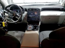 
										Hyundai Tucson Hybrid full									