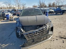 
										Hyundai Tucson Hybrid full									