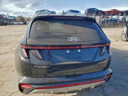 
										Hyundai Tucson Hybrid full									