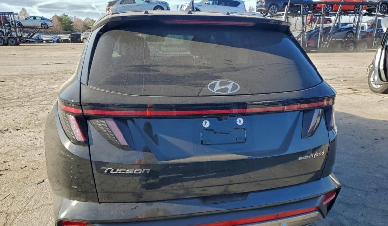 
								Hyundai Tucson Hybrid full									