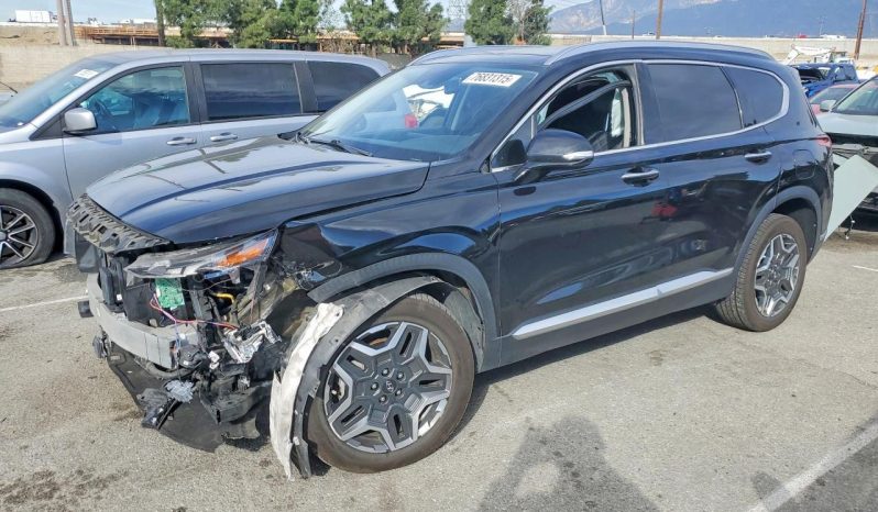 
								Hyundai Santa Fe Hybrid full									