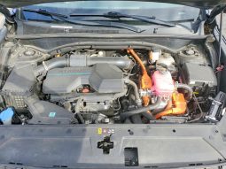 
										Hyundai Santa Fe Hybrid full									