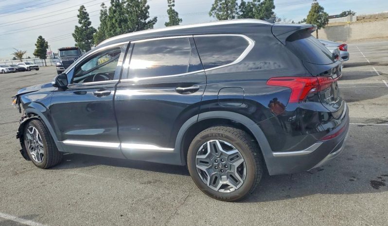 
								Hyundai Santa Fe Hybrid full									