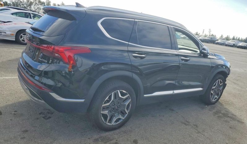 
								Hyundai Santa Fe Hybrid full									