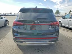 
										Hyundai Santa Fe Hybrid full									