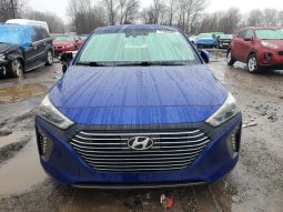 
										Hyundai Ioniq full									
