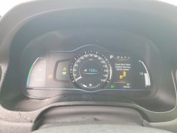 
										Hyundai Ioniq full									
