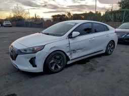 
										Hyundai Ioniq full									