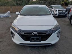
										Hyundai Ioniq full									
