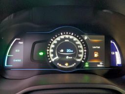 
										Hyundai Ioniq full									