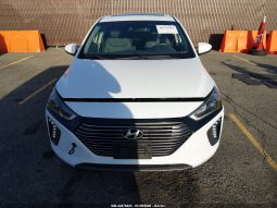 
										Hyundai Ioniq full									