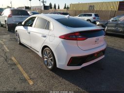 
										Hyundai Ioniq full									