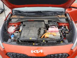 
										Kia Niro full									