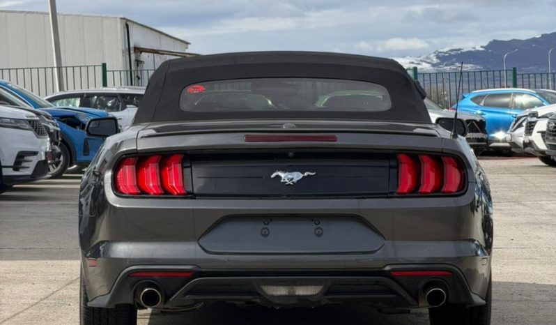 
								Ford Mustang full									